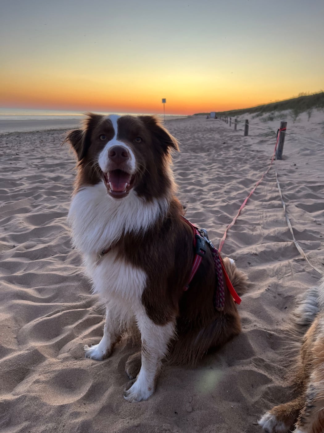 Publication : Des Perles Du Lac