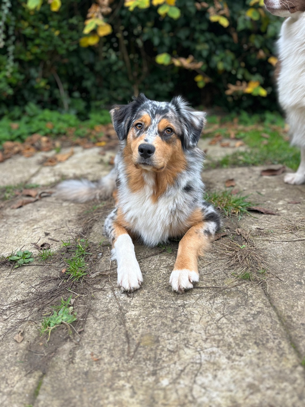 Publication : Des Perles Du Lac