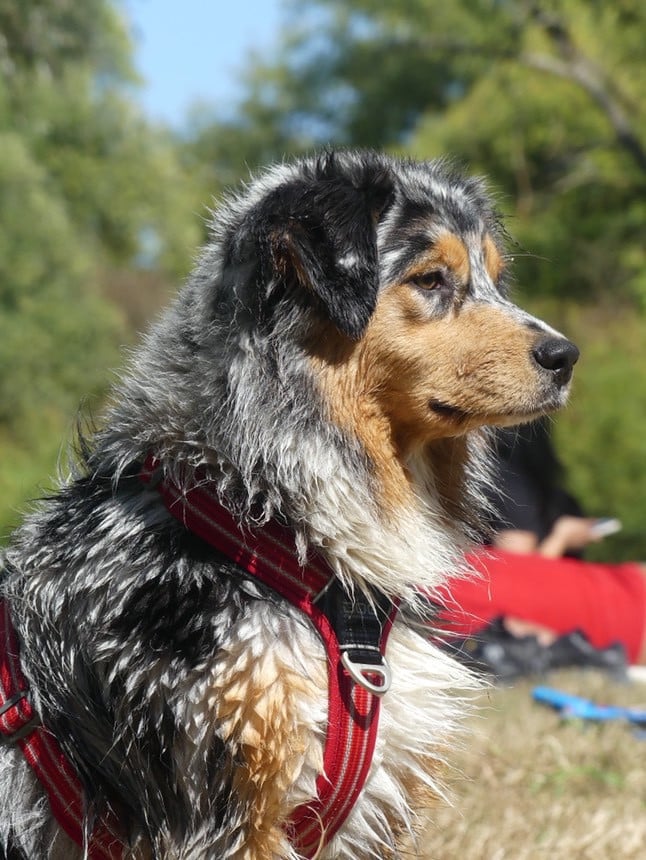 Publication : Des Perles Du Lac