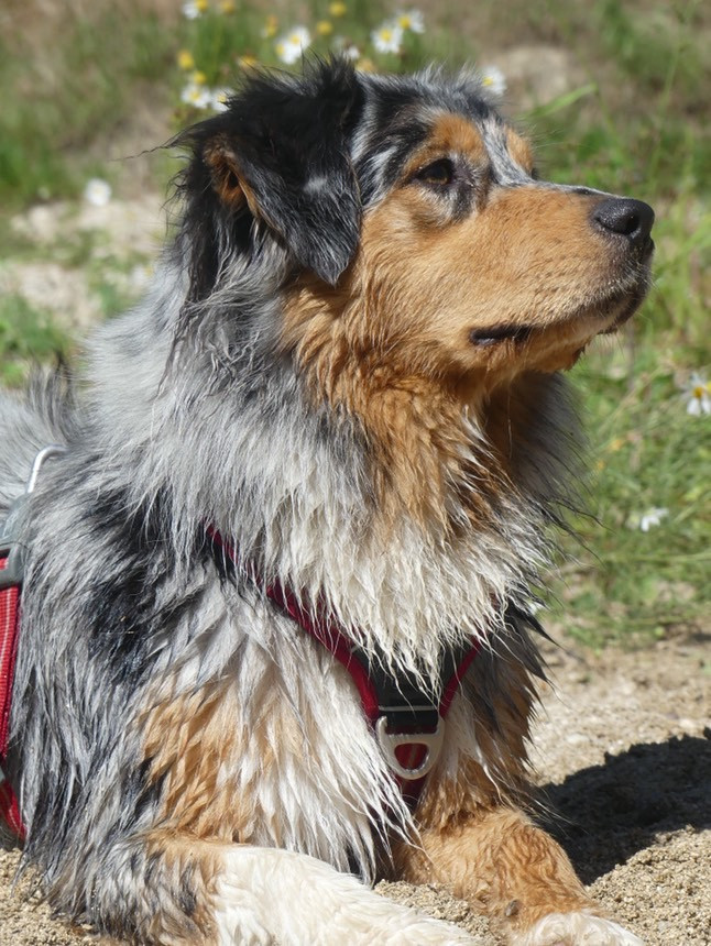 Publication : Des Perles Du Lac