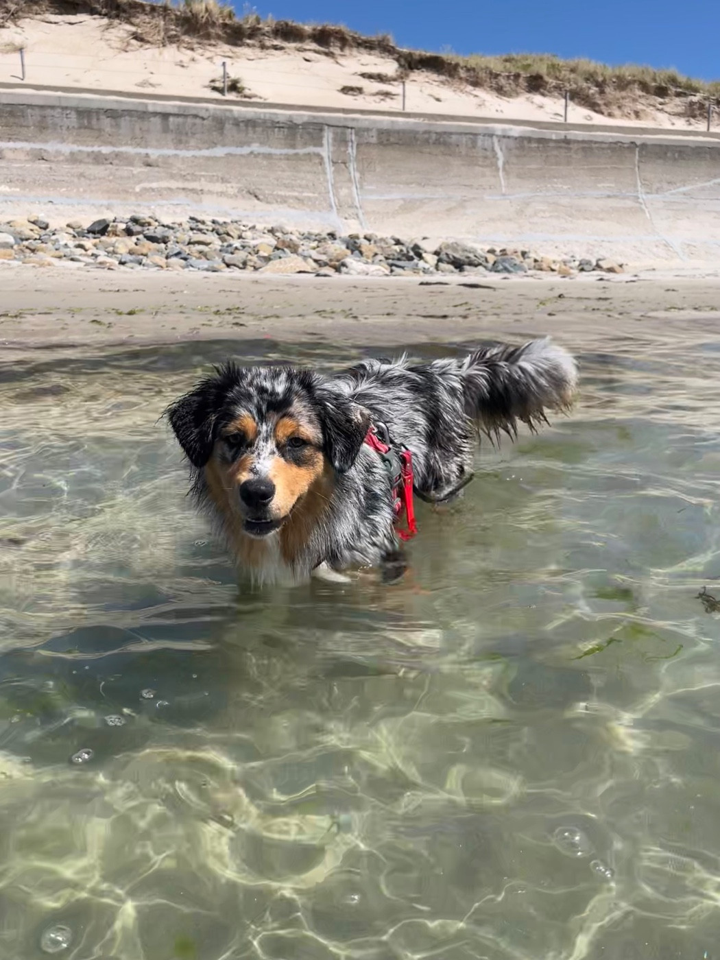 Publication : Des Perles Du Lac