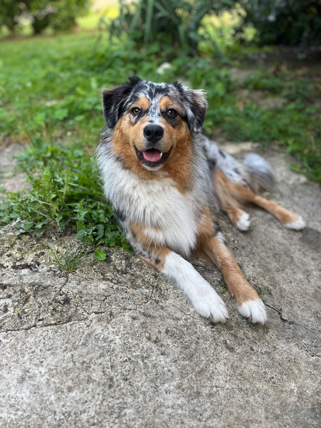 Publication : Des Perles Du Lac