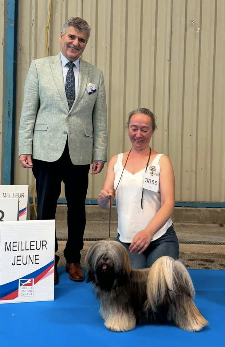 CH. Alvina Simha du Parc De Courtefontaine - Classe JEUNE : 1e Excellent CACS et BOB Jeune