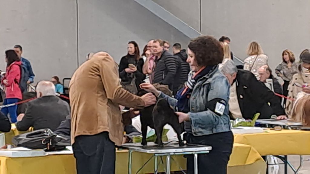 Umi D'Agamance Et D'Augusmee - EXCELLENT