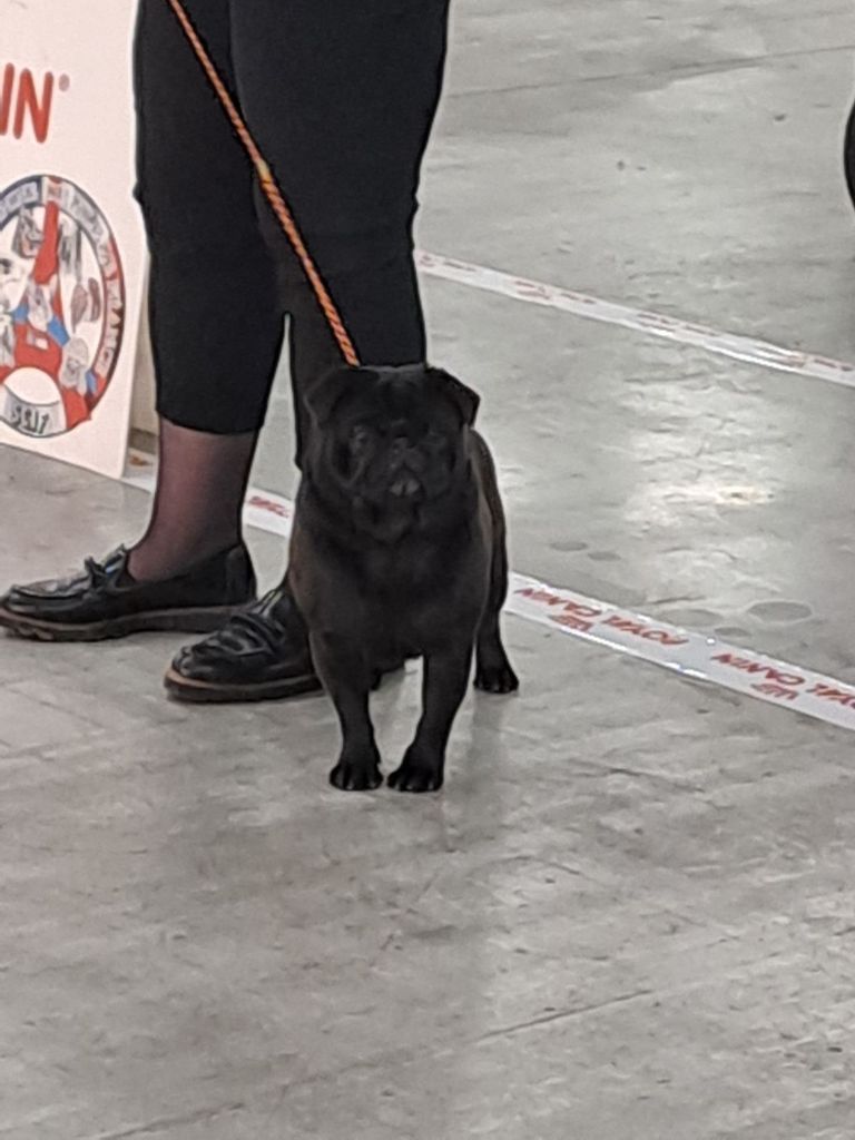 Umi D'Agamance Et D'Augusmee - 3eme TRES BON