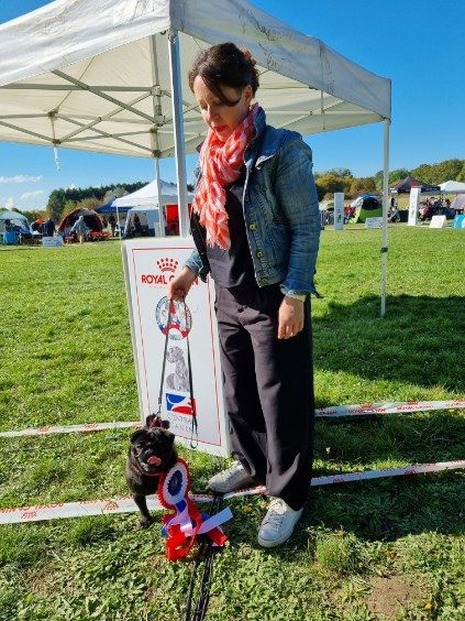 Umi D'Agamance Et D'Augusmee - meilleure de race / meilleure jeune / CACJ-J