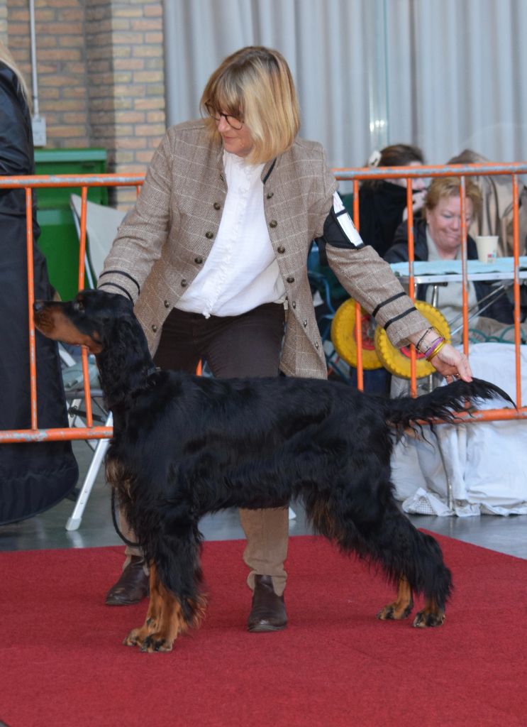 TR. CH. Tiffany Du Manoir De Diane - BOB Travail-RCACIB-RCACS-1er Classe Travail