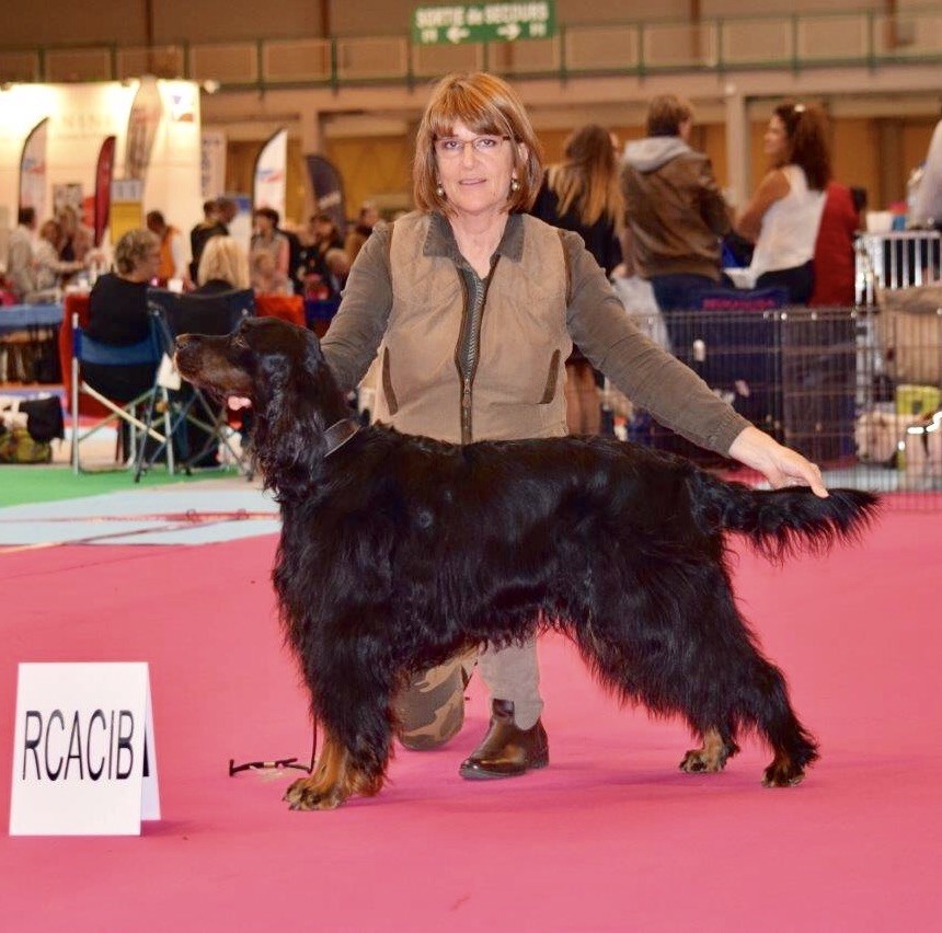 CH. Diva de cinq a sept - 1er EXC - RCACIB