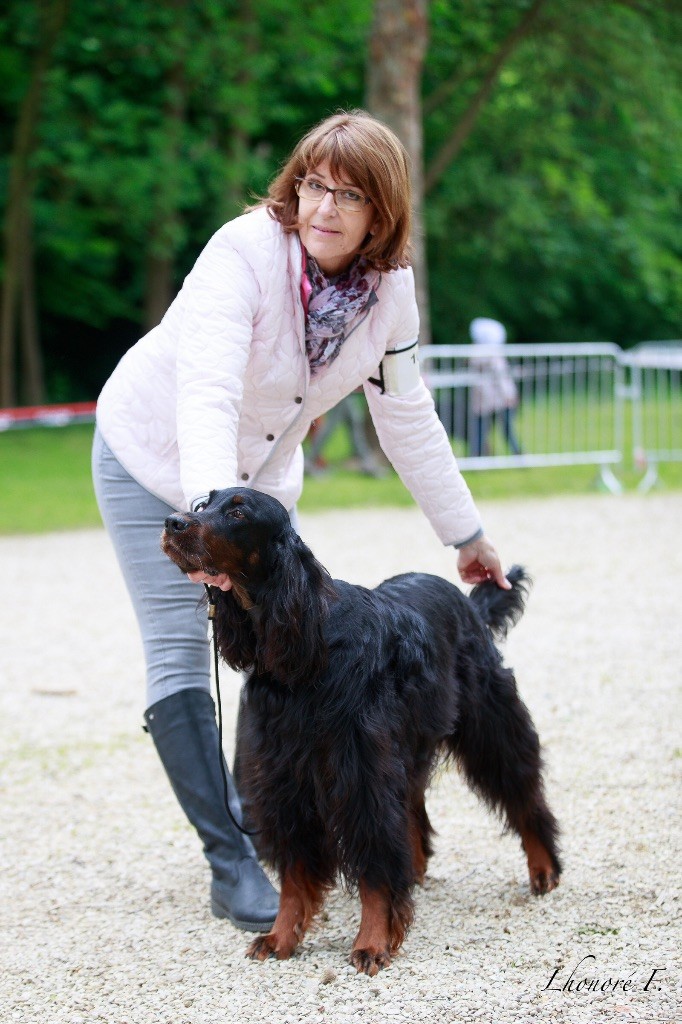 CH. Diva de cinq a sept - 3ème Classe Champion