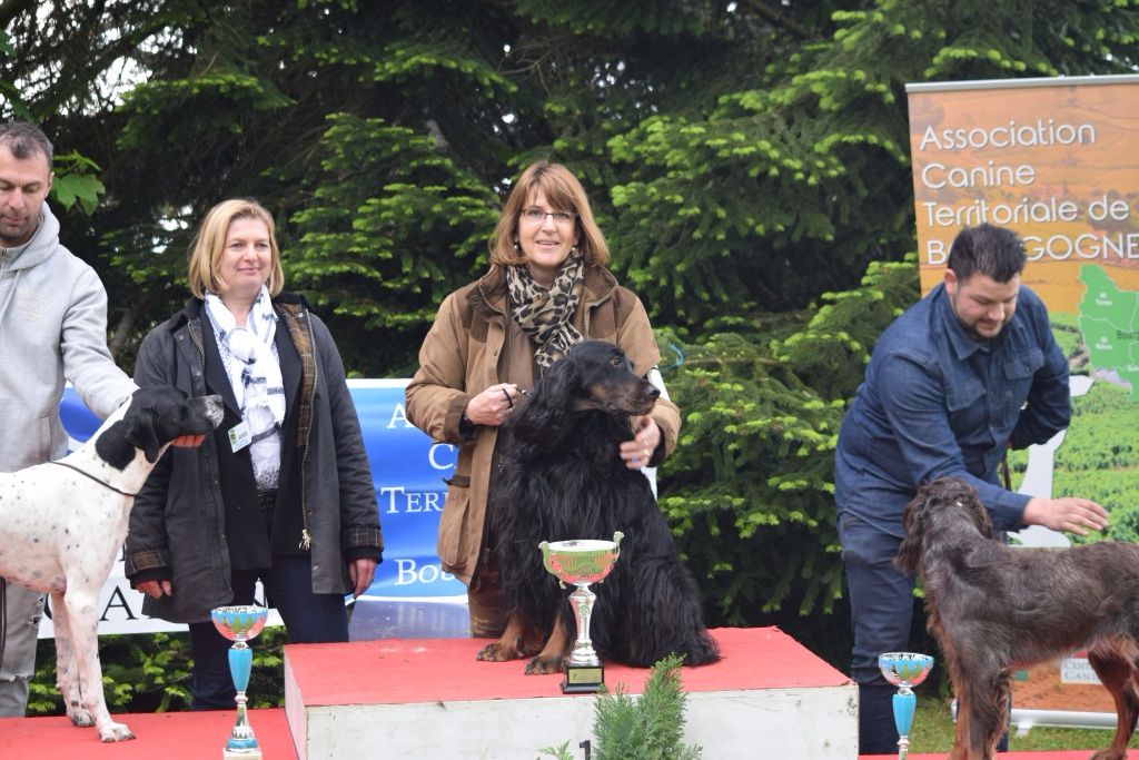 CH. Diva de cinq a sept - 1er EXC - BOG - BOB - Meilleur Vétéran