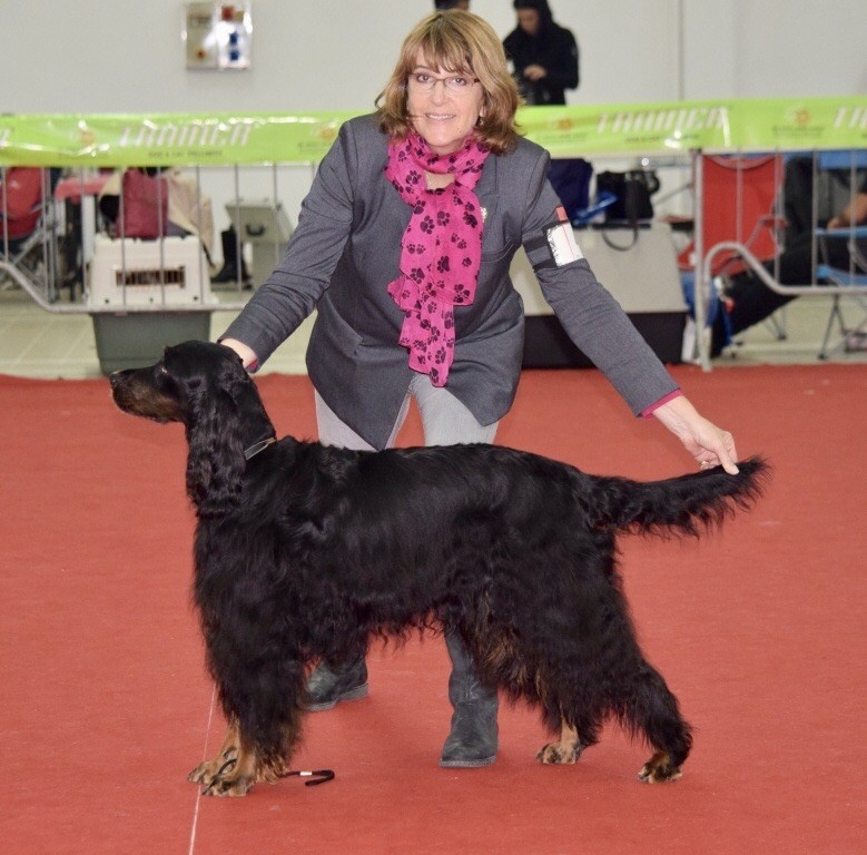 CH. Diva de cinq a sept - 1er EXC CCH - CACIB - BOB