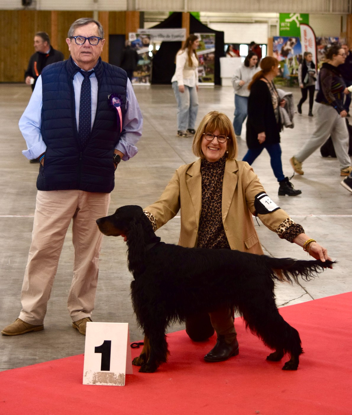 TR. CH. Nikkita Du Manoir De Diane - BOB V - CACIB V - 1er EXC Classe Vétéran
