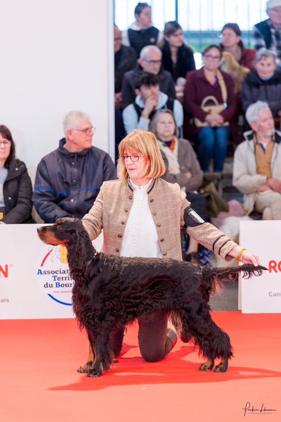 TR. CH. Nikkita Du Manoir De Diane - BOB - BOB V - CACIB V - 1er EXC Classe Vétéran