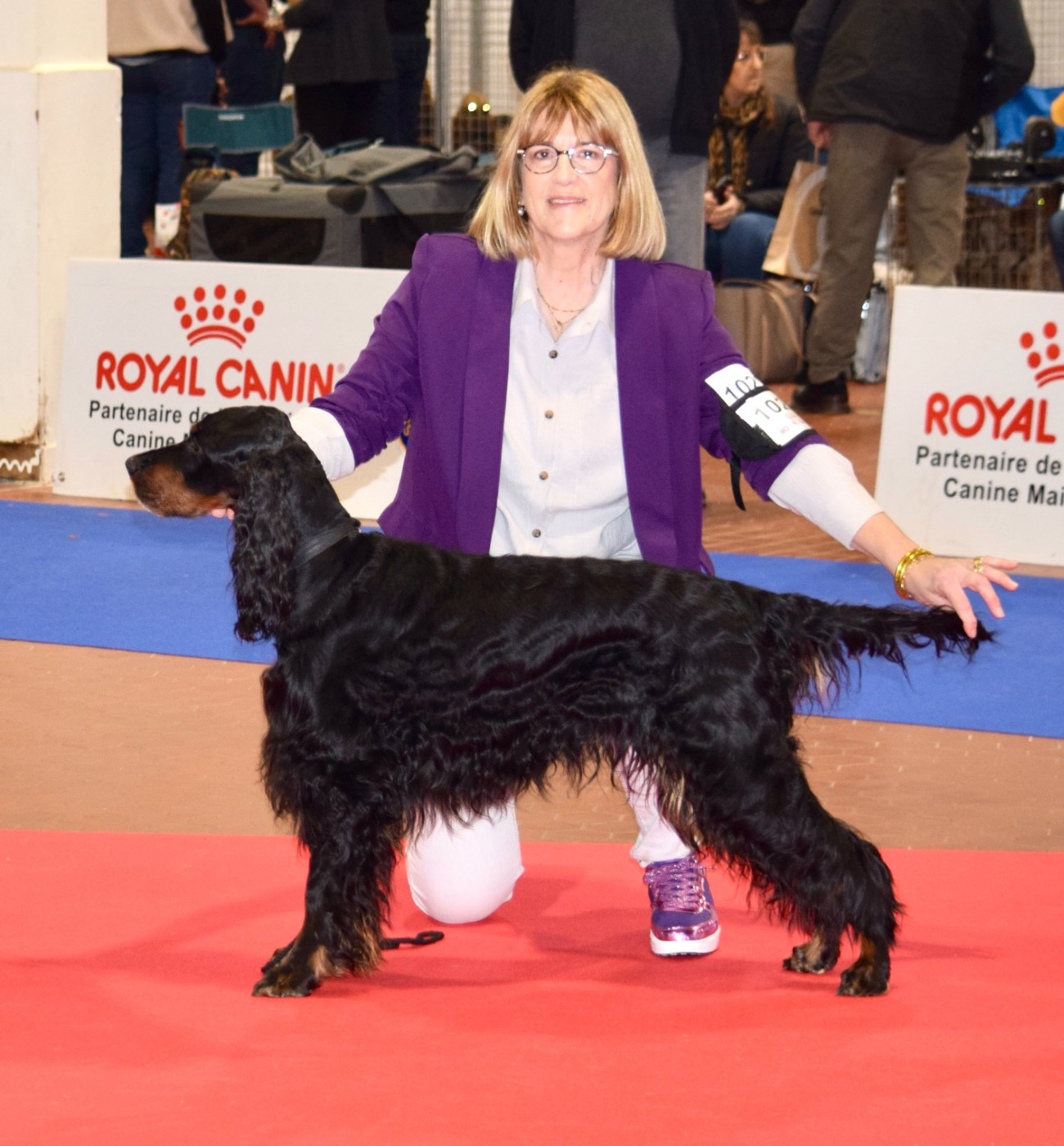 TR. CH. Nikkita Du Manoir De Diane - BOB V - CACS V - 1er EXC Classe Vétéran