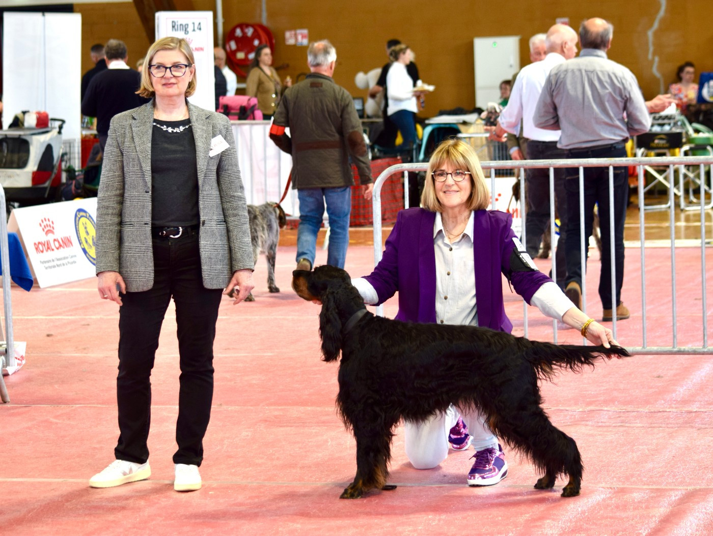 TR. CH. Nikkita Du Manoir De Diane - BOB V - CACIB V - 1er EXC Classe Vétéran