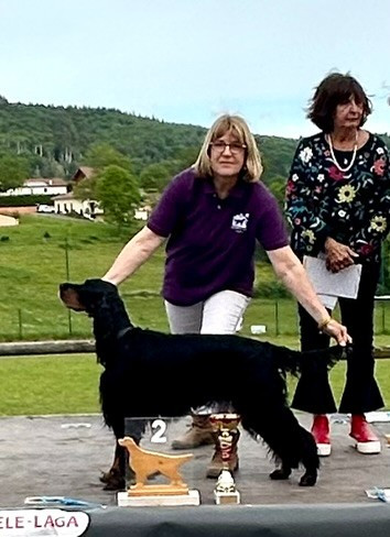 TR. CH. Nikkita Du Manoir De Diane - 2ème EXC Classe Vétéran