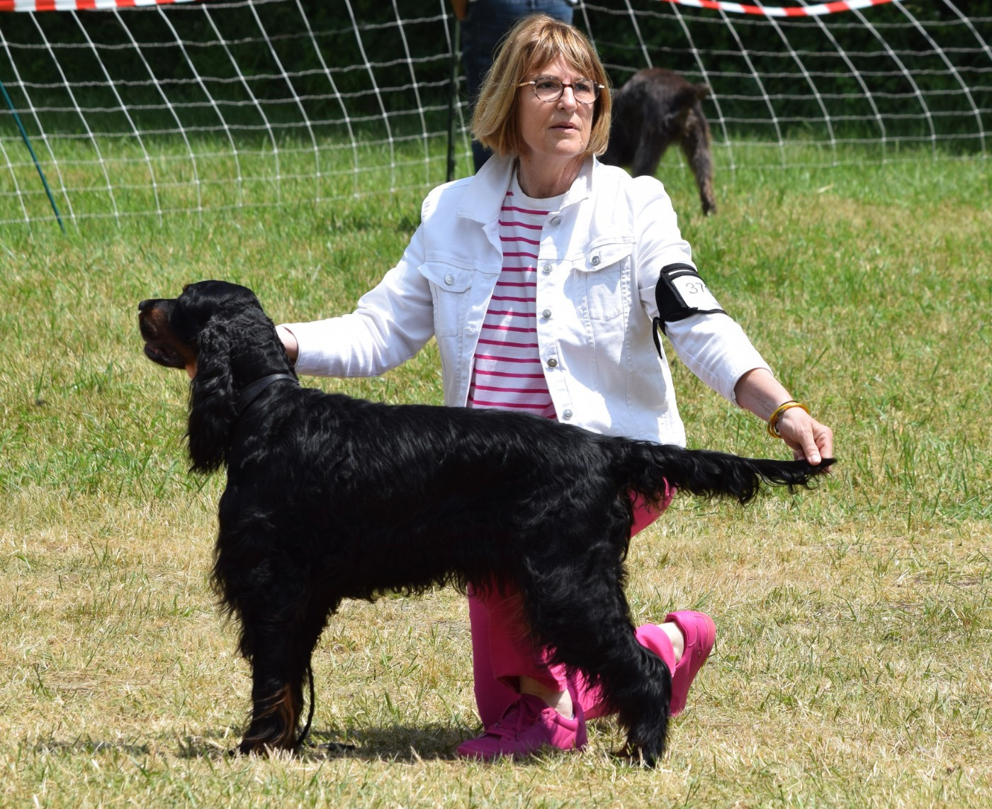 TR. CH. Nikkita Du Manoir De Diane - 2ème EXC Classe Vétéran