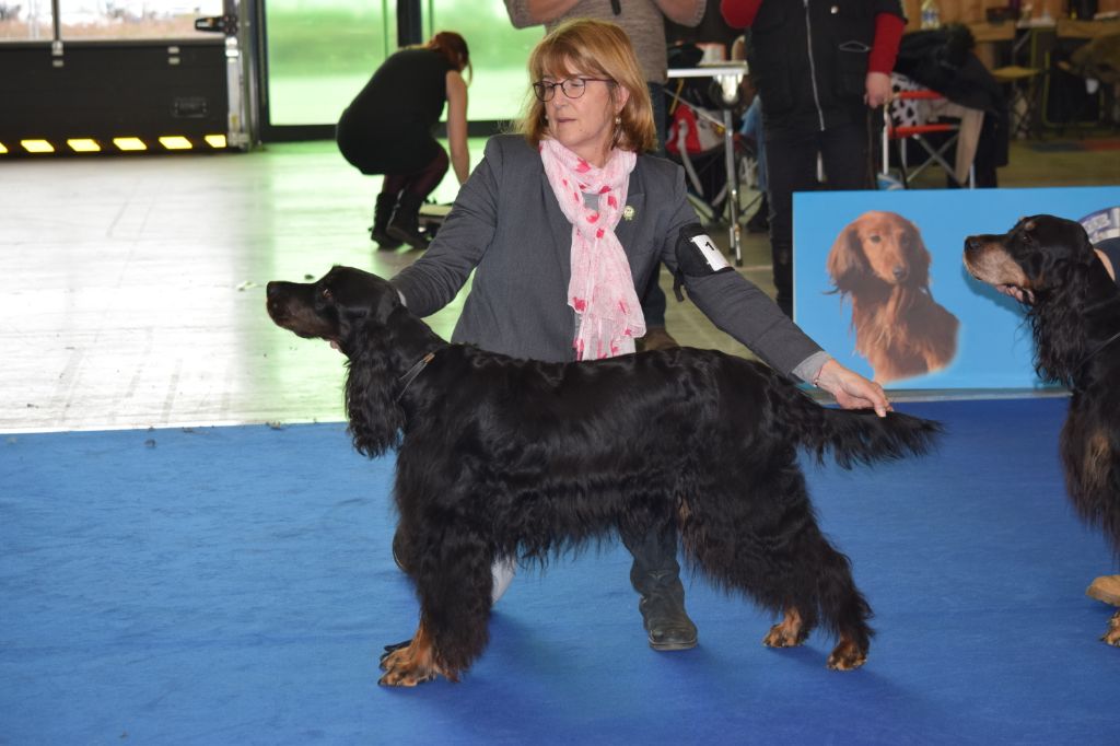 CH. Diva de cinq a sept - CRUFTS - BOB VETERAN - 1er EXC CV -
