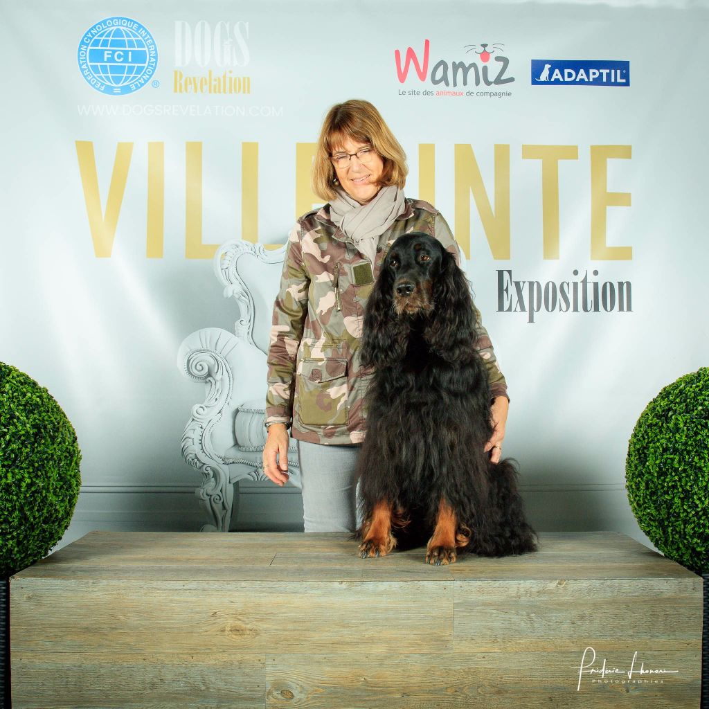 CH. Diva de cinq a sept - 1er EXC CV - BOS