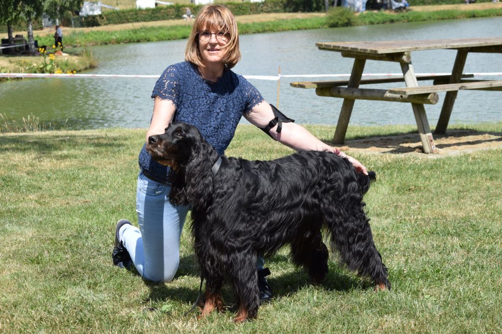 CH. Diva de cinq a sept - BOB VETERAN - 1er EXC CV