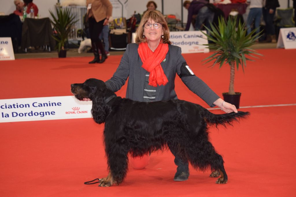 CH. Diva de cinq a sept - BIS 2 VETERAN - BOB VETERAN - 1er EXC CV