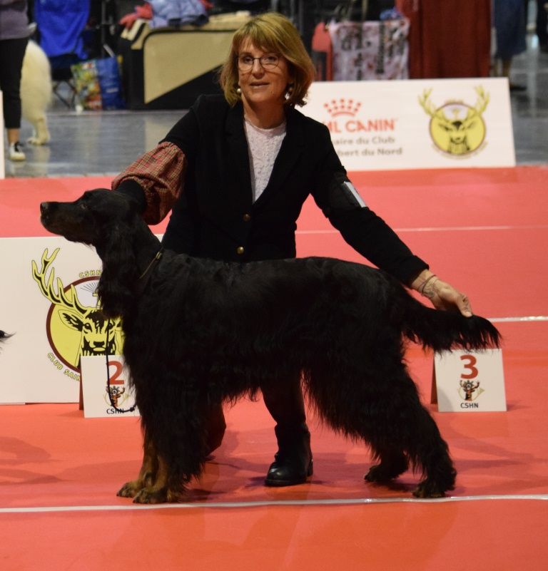 CH. Diva de cinq a sept - 2ème EXC Classe Vétéran