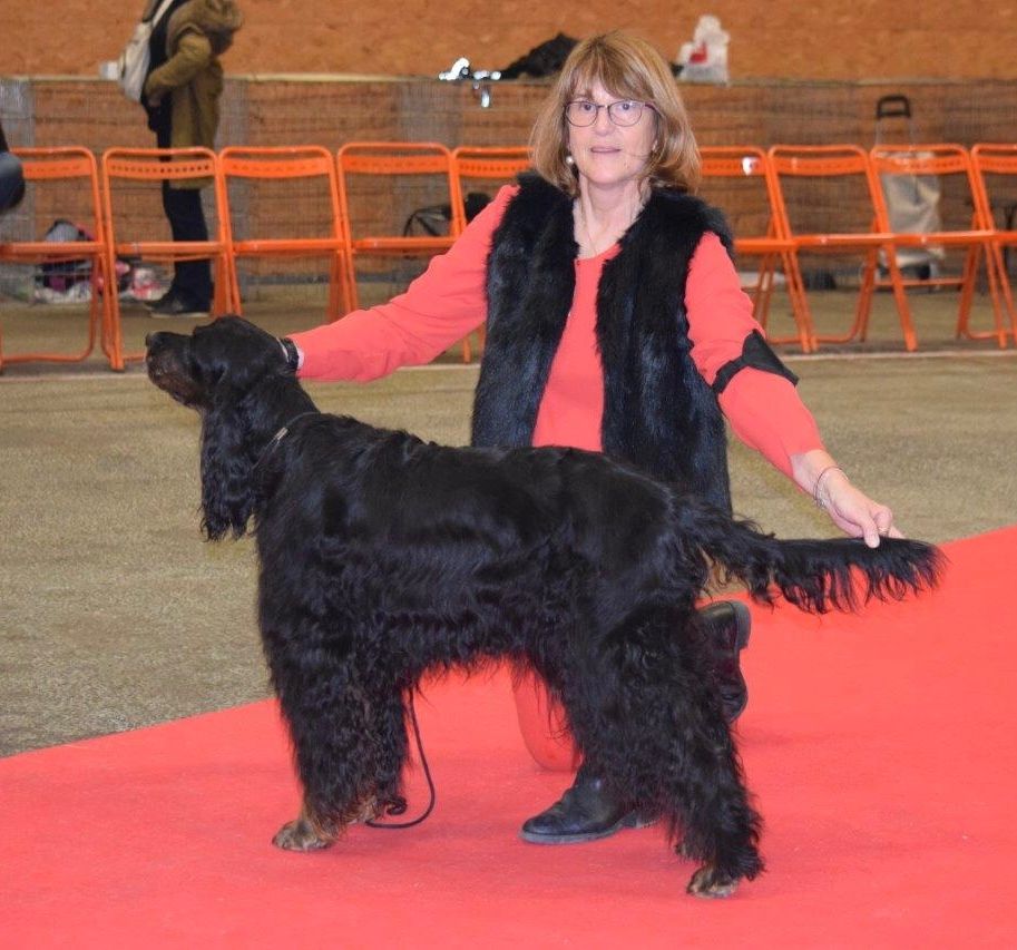 CH. Diva de cinq a sept - BOB VETERAN - 1er EXC CV