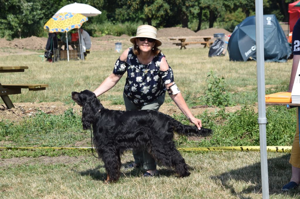 CH. Diva de cinq a sept - BOB VETERAN - 1er EXC Classe Vétéran