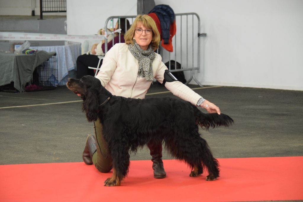 CH. Diva de cinq a sept - BOB VETERAN - 1er EXC CV