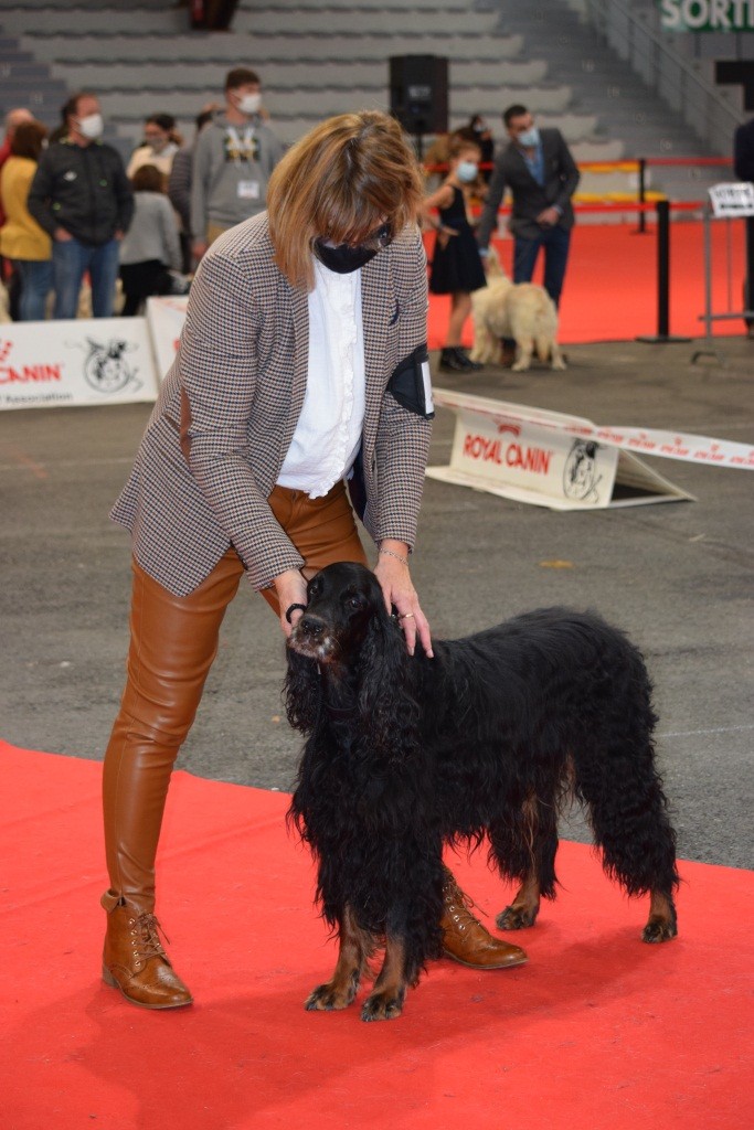 CH. Diva de cinq a sept - BOB V - 1er EXC CV