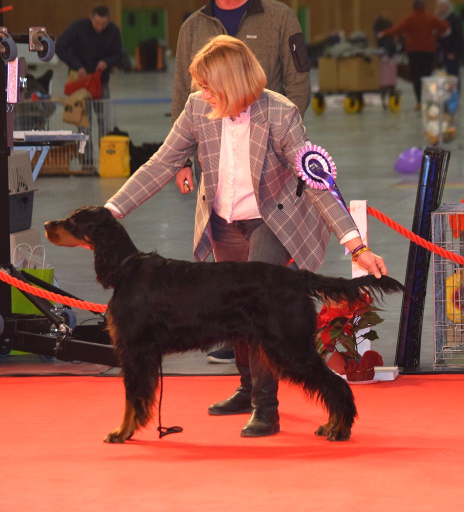 TR. CH. Tiffany Du Manoir De Diane - BOB - CACIB - CACS - 1er EXC Travail