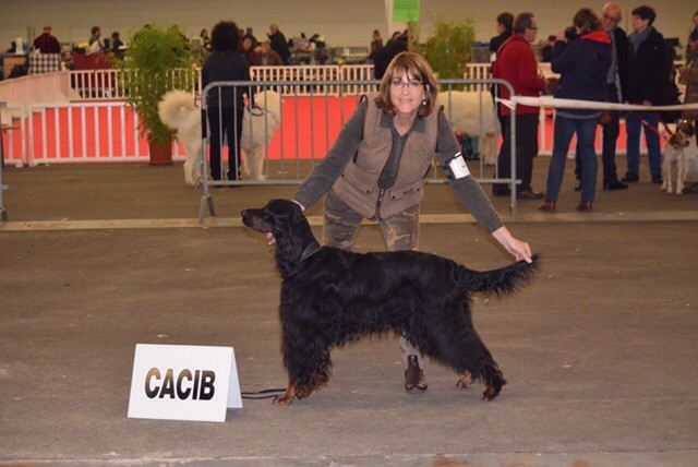 CH. Diva de cinq a sept - 1er EXC CCH - CACIB - BOB
