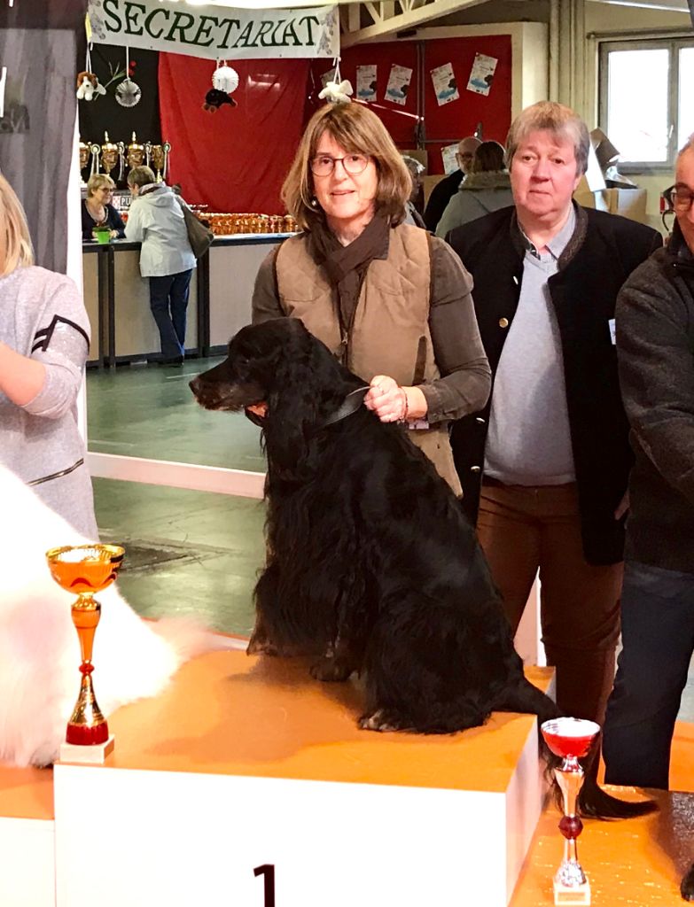 CH. Diva de cinq a sept - BIS VETERAN - BOG VETERAN - BOB VETERAN - 1er EXC CV