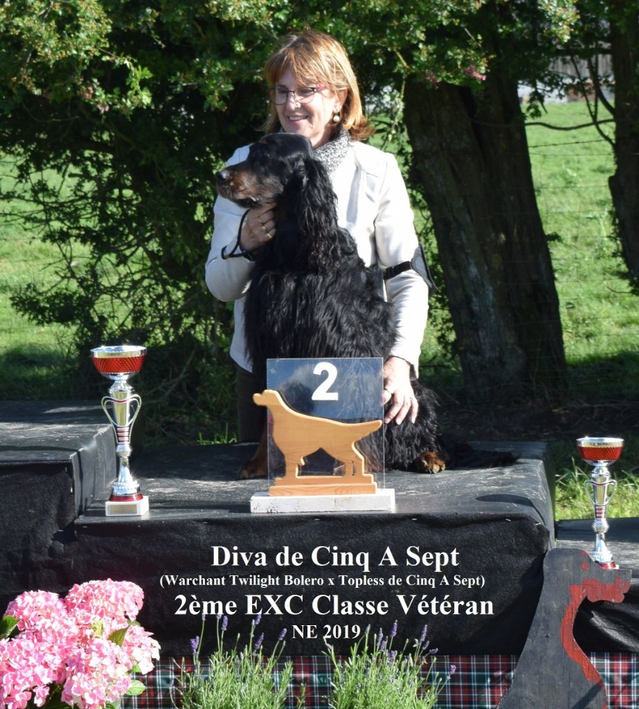 CH. Diva de cinq a sept - 2ème EXC Classe Vétéran