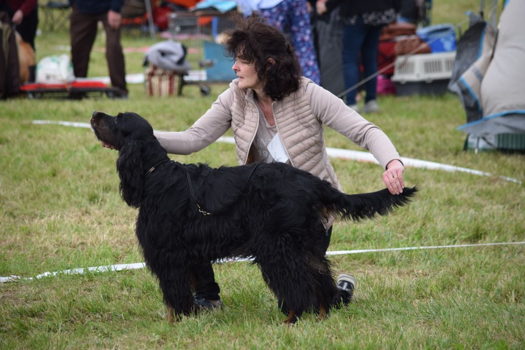 CH. Diva de cinq a sept - BOB VETERAN - 1er EXC CV