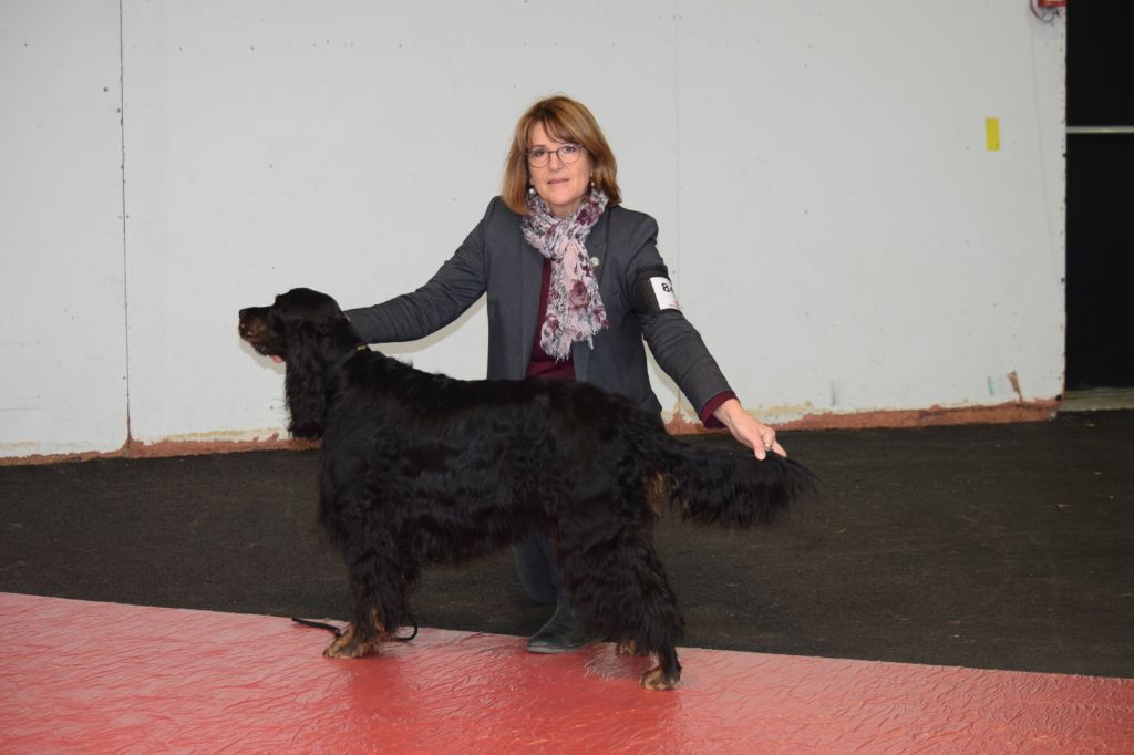 CH. Diva de cinq a sept - BOB VETERAN - 1er EXC CV