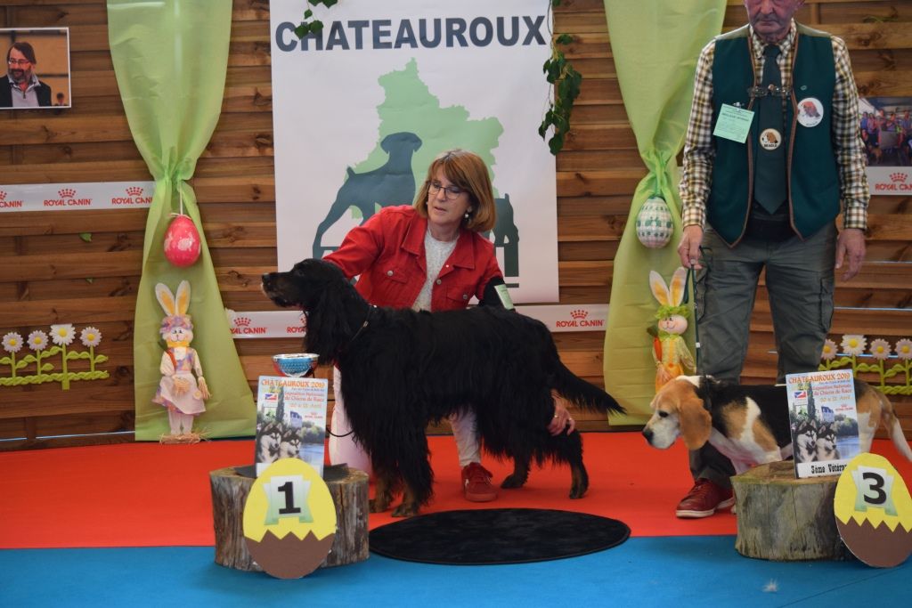 CH. Diva de cinq a sept - BIS VETERAN - BOB VETERAN - 1er EXC CV