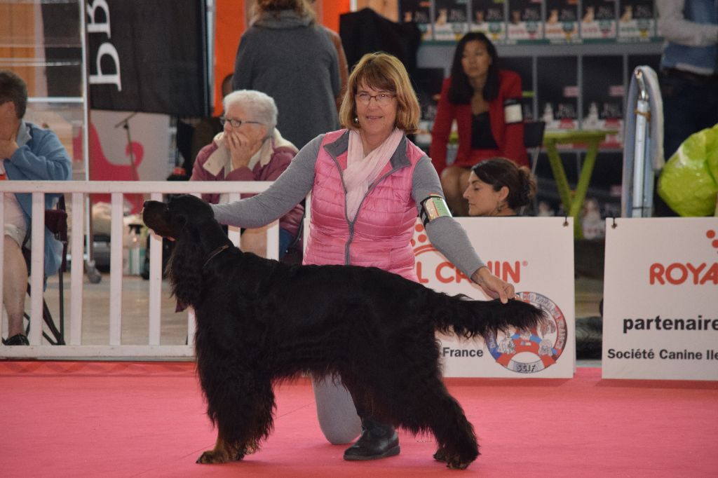 CH. Diva de cinq a sept - 1er EXC CV - Meilleur Vétéran- BOB - BOG3