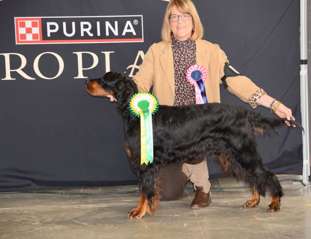 TR. CH. Tiffany Du Manoir De Diane - BIS Travail-BOG3-BOB-CACS-1er EXC Classe Travail