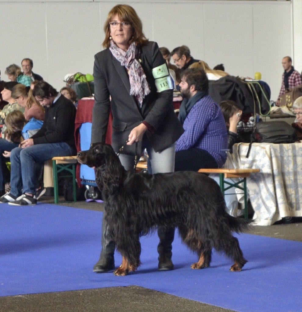 CH. Diva de cinq a sept - 2ème EXC CCH - RCAC