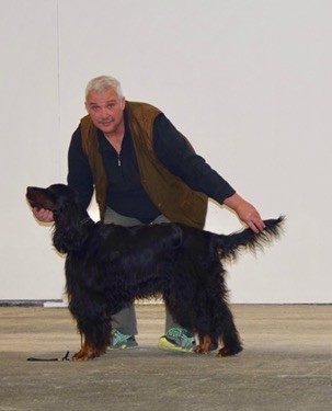 CH. Diva de cinq a sept - 2ème EXC Classe Champion