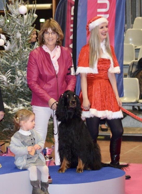 CH. Diva de cinq a sept - 1er EXC - BOB - 3ème du Groupe 7