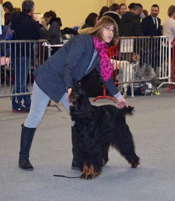 CH. Diva de cinq a sept - 1er EXC CCH - RCACIB