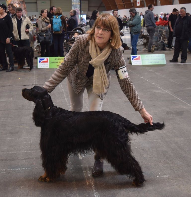 CH. Diva de cinq a sept - 1er EXC Classe Vétéran