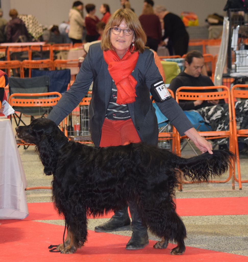 CH. Diva de cinq a sept - BOB VETERAN - 1er EXC CV