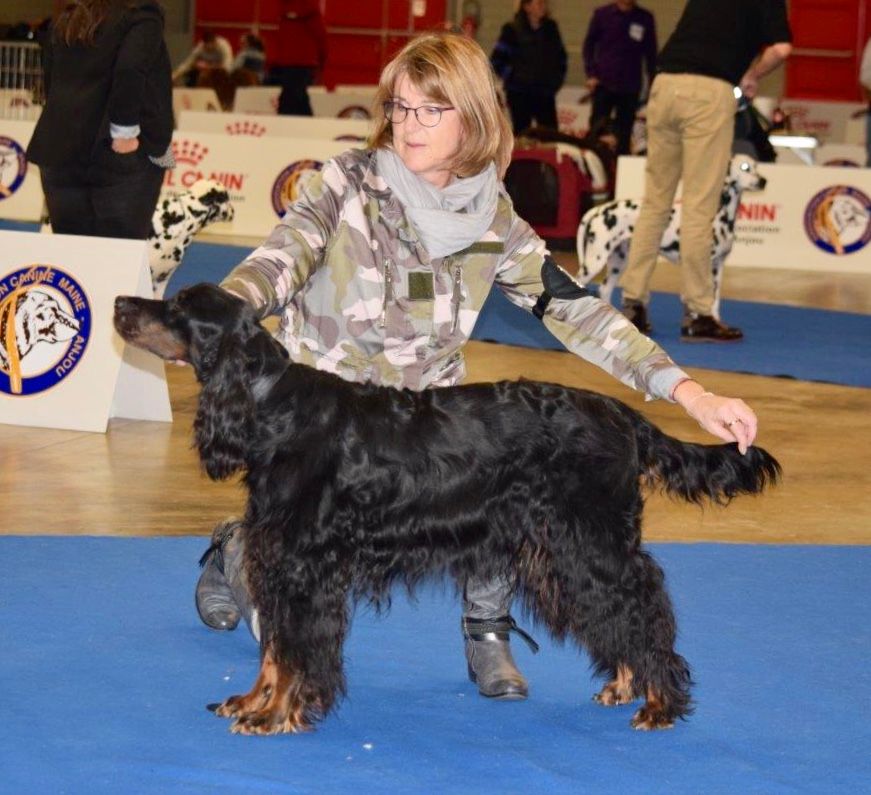 CH. Diva de cinq a sept - BOB VETERAN - 1er EXC CV