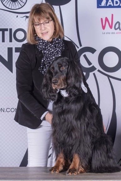 CH. Diva de cinq a sept - 1er EXC CV - Meilleur Vétéran