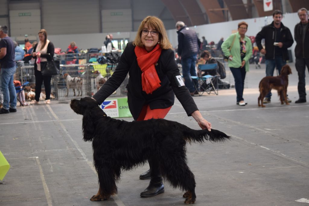 CH. Diva de cinq a sept - BOB VETERAN - 1er EXC CV