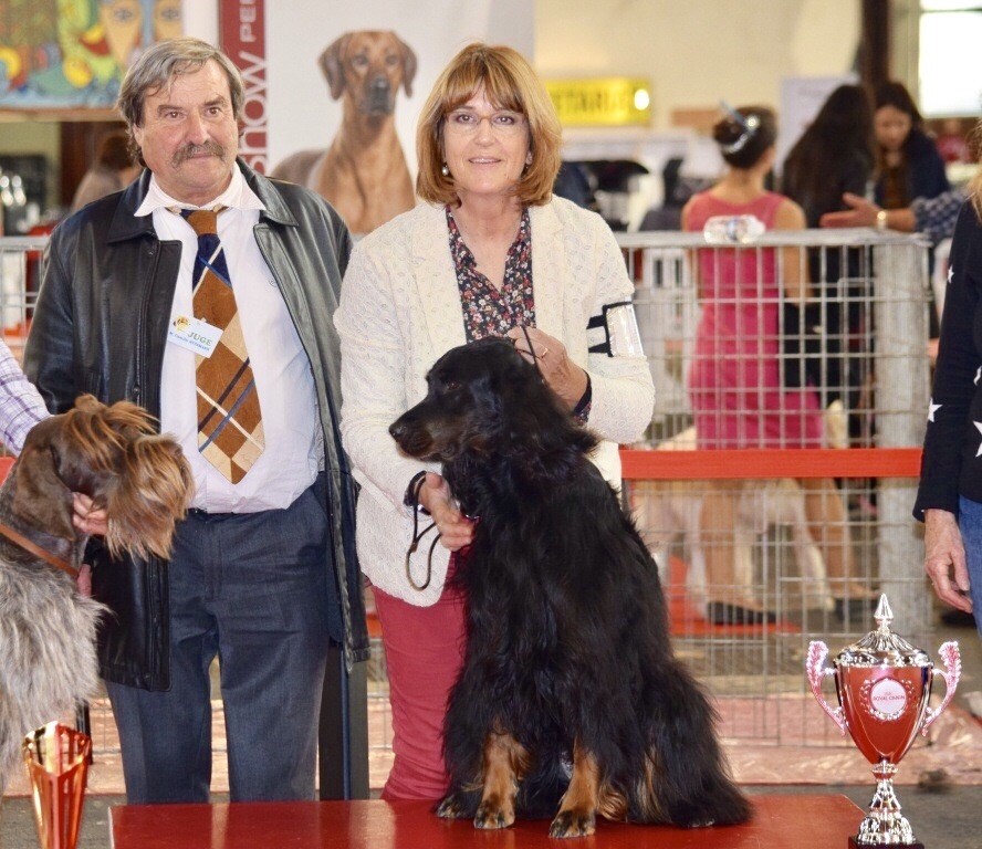 CH. Diva de cinq a sept - 1er EXC CCH - CACIB - BOB - BOG
