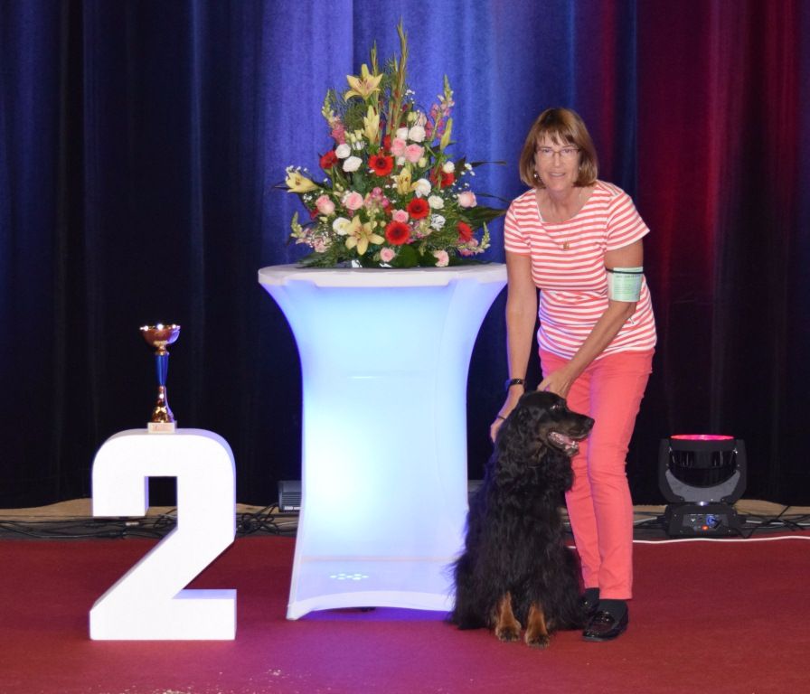 CH. Diva de cinq a sept - 1er EXC - Meilleur Vétéran- 2ème Vétéran Toutes Races